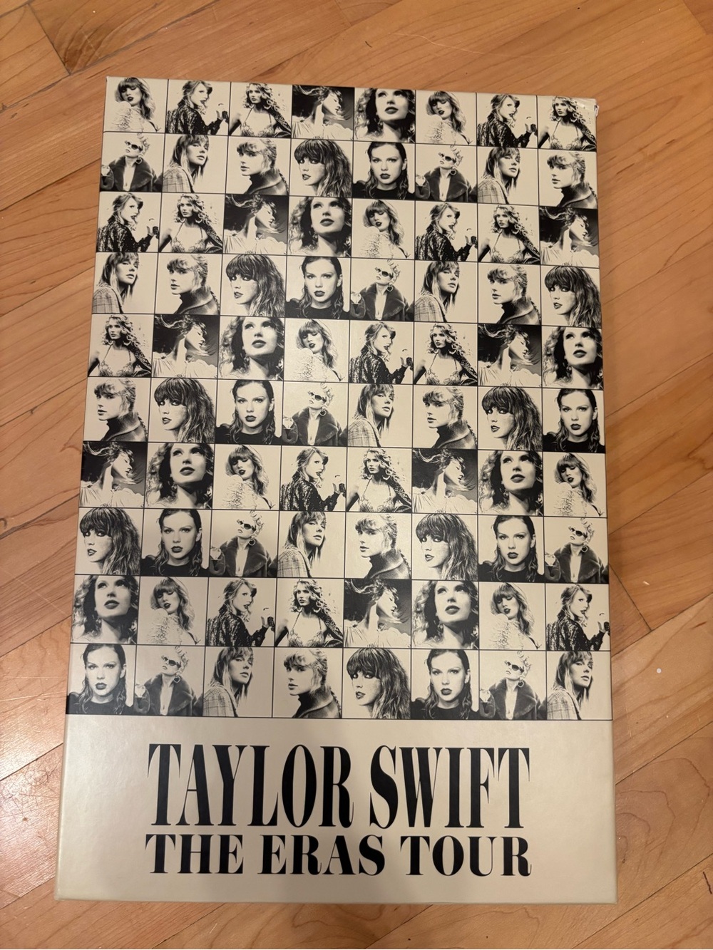 Taylor Swift Eras Tour VIP concert box